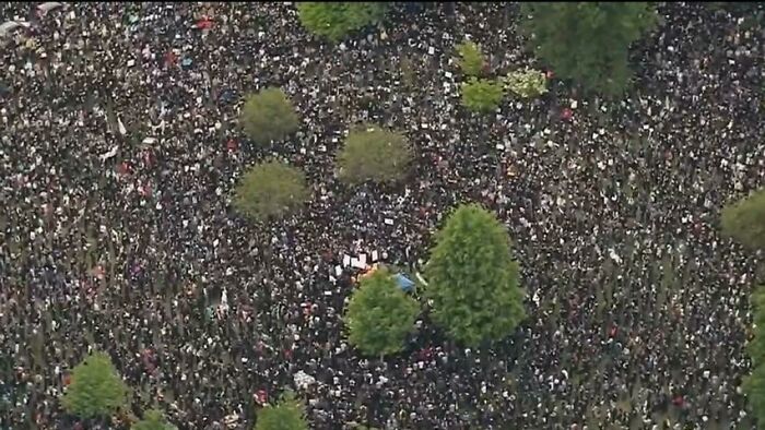 Real photo from an aerial view of an immense crowd of people among trees, making your brain question the scale.