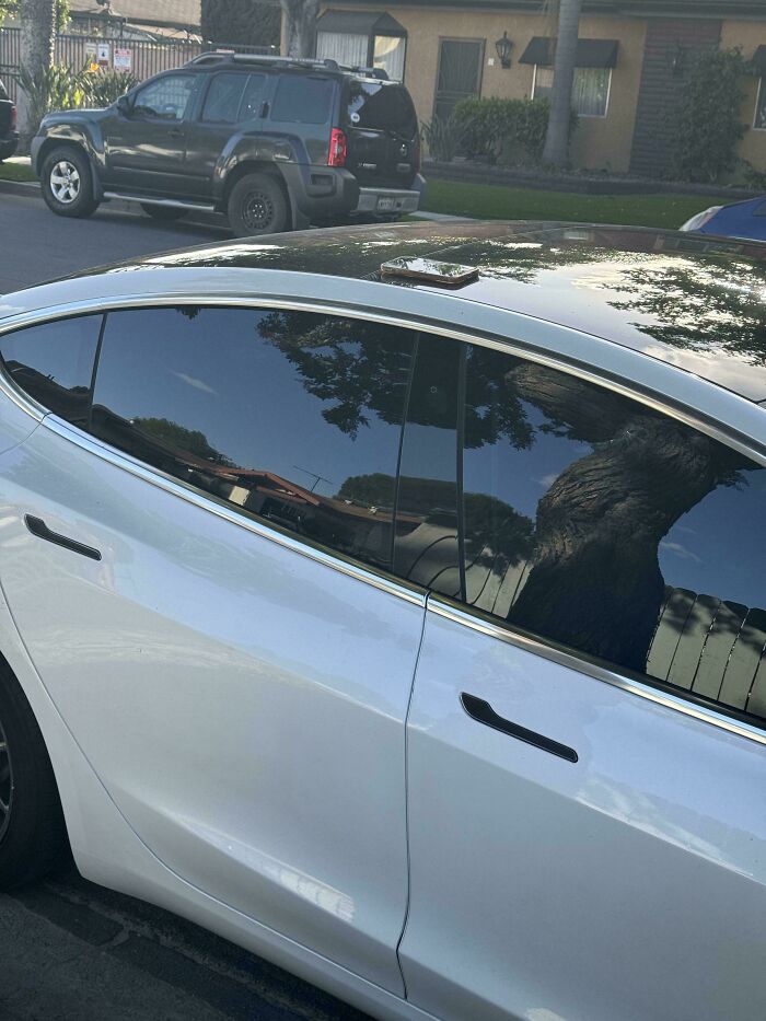 A smartphone left on the roof of a white car, highlighting how people can ruin their day by forgetting something.