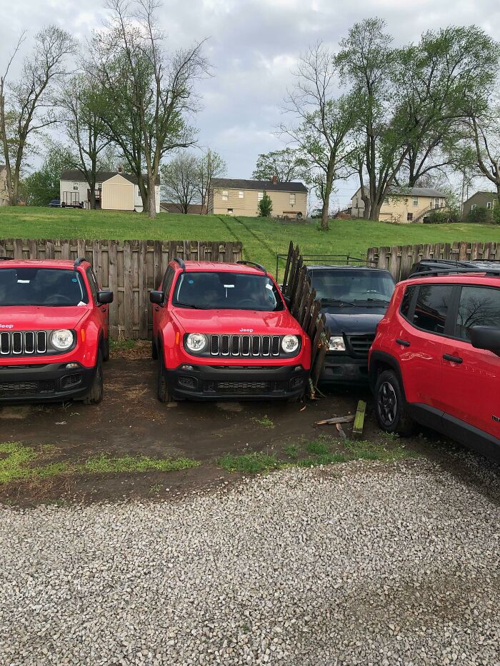 Red Jeeps parked too close, an example of forgetting proper parking, ruining a day.