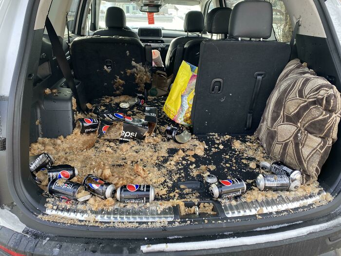 The trunk of a car filled with spilled Pepsi cans and food, illustrating how forgetting something can ruin a day.