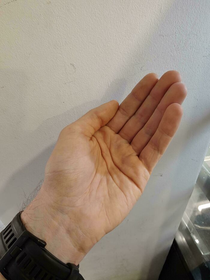 An open hand with an empty palm, symbolizing someone forgetting something extremely important that ruined their day.