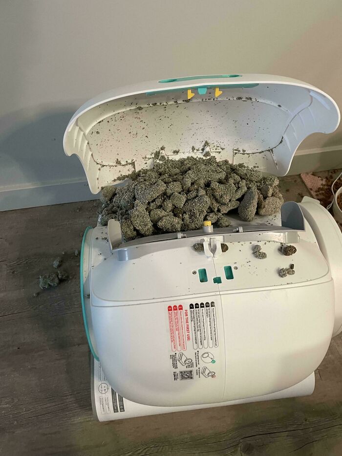 A self-cleaning litter box is overflowing with waste, a clear example of forgetting something important and ruining the day.