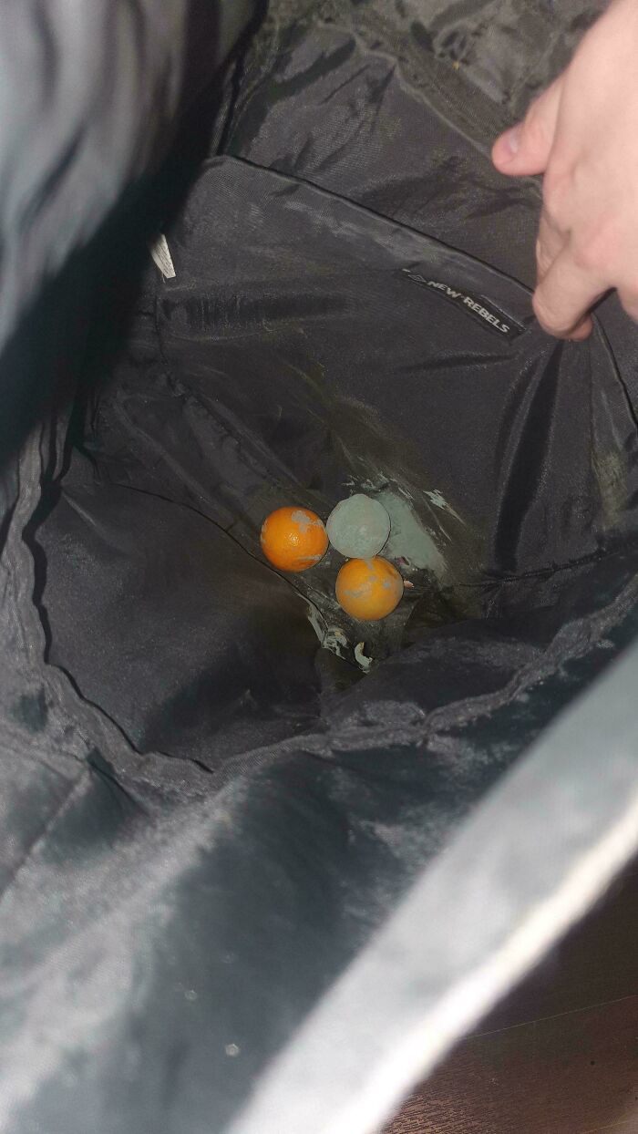 Moldy fruit at the bottom of a forgotten bag, a clear sign of forgetting something important.