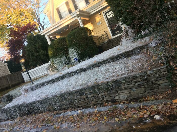 An entire front yard and house covered in icicles, suggesting a forgotten open hose or pipe.