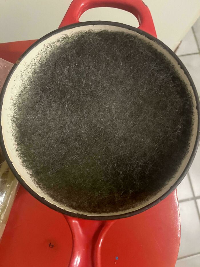 A forgotten pan with black, fuzzy mold, ruining the entire day.