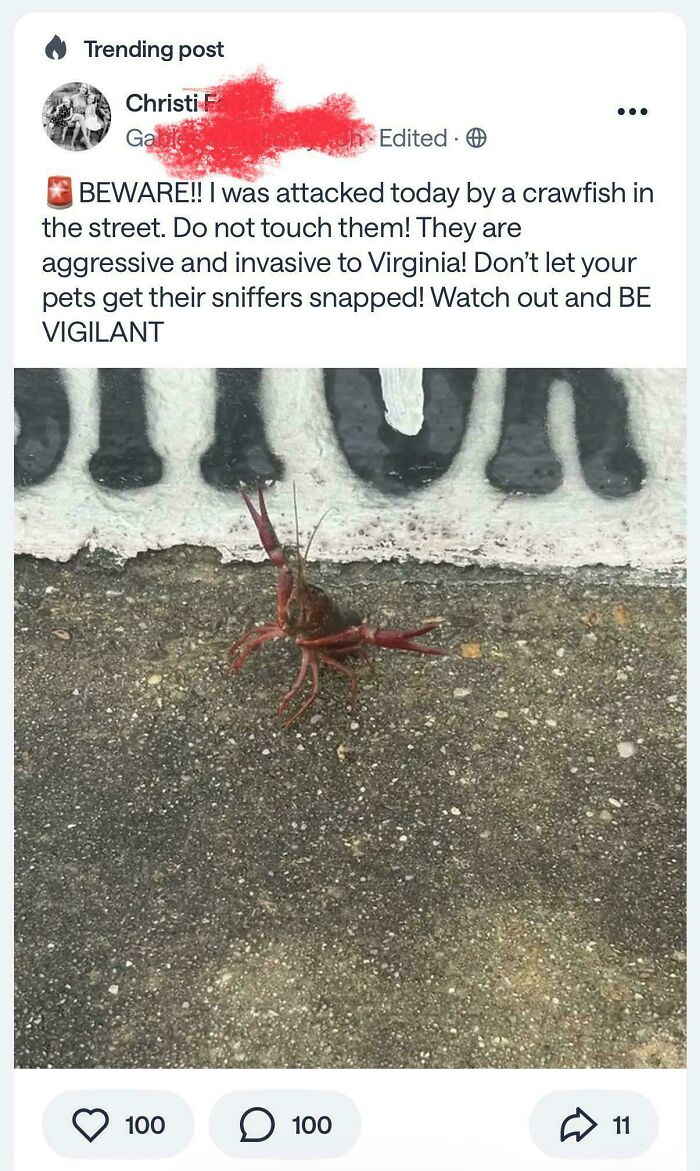 A wild neighborhood online community screenshot showing a post warning about an aggressive crawfish.