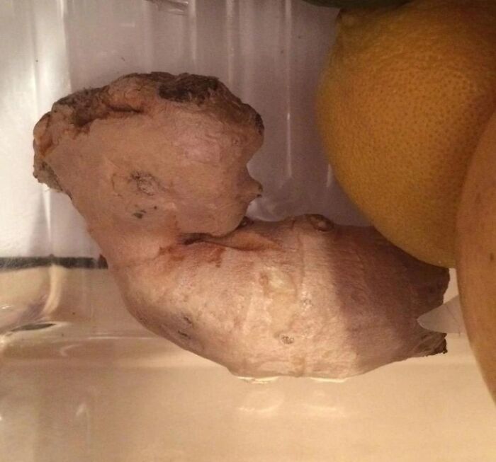 Ginger root in fridge that looks like a duck