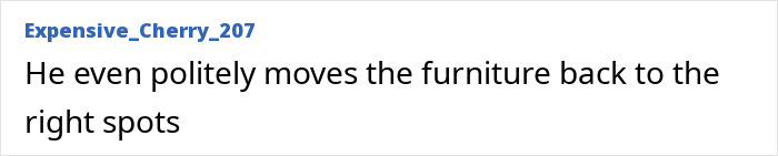 Online comment from 'Expensive_Cherry_207' about the window washer moving furniture politely. Online comment from 'Expensive_Cherry_207' about the window washer moving furniture politely.