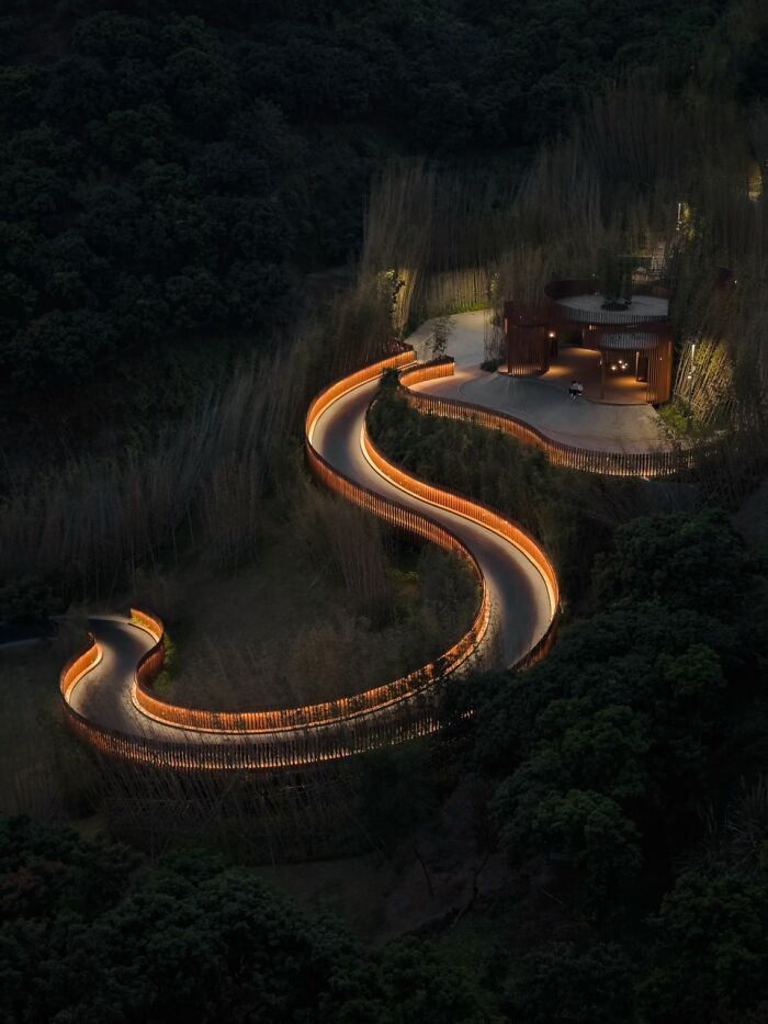 An aerial view of a winding, illuminated walkway through dark woods, featured in the iPhone Photography Awards.