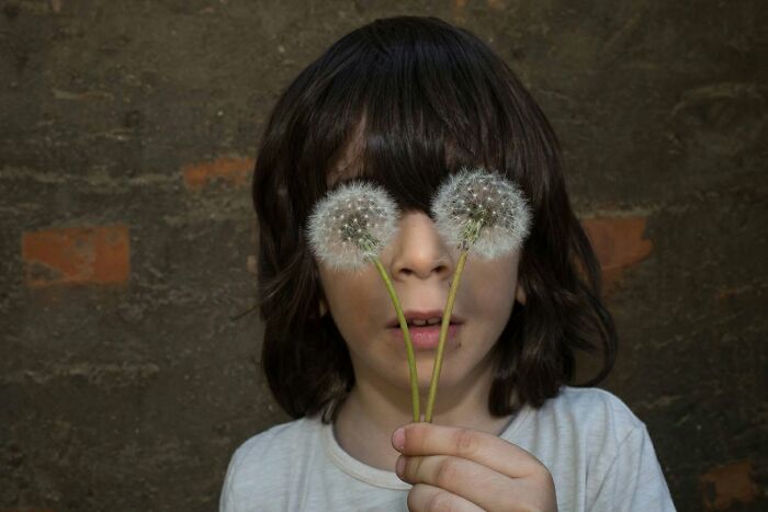 A child holding two dandelions over their eyes, looking at the camera, showcasing a serendipitous moment captured by a street photographer.