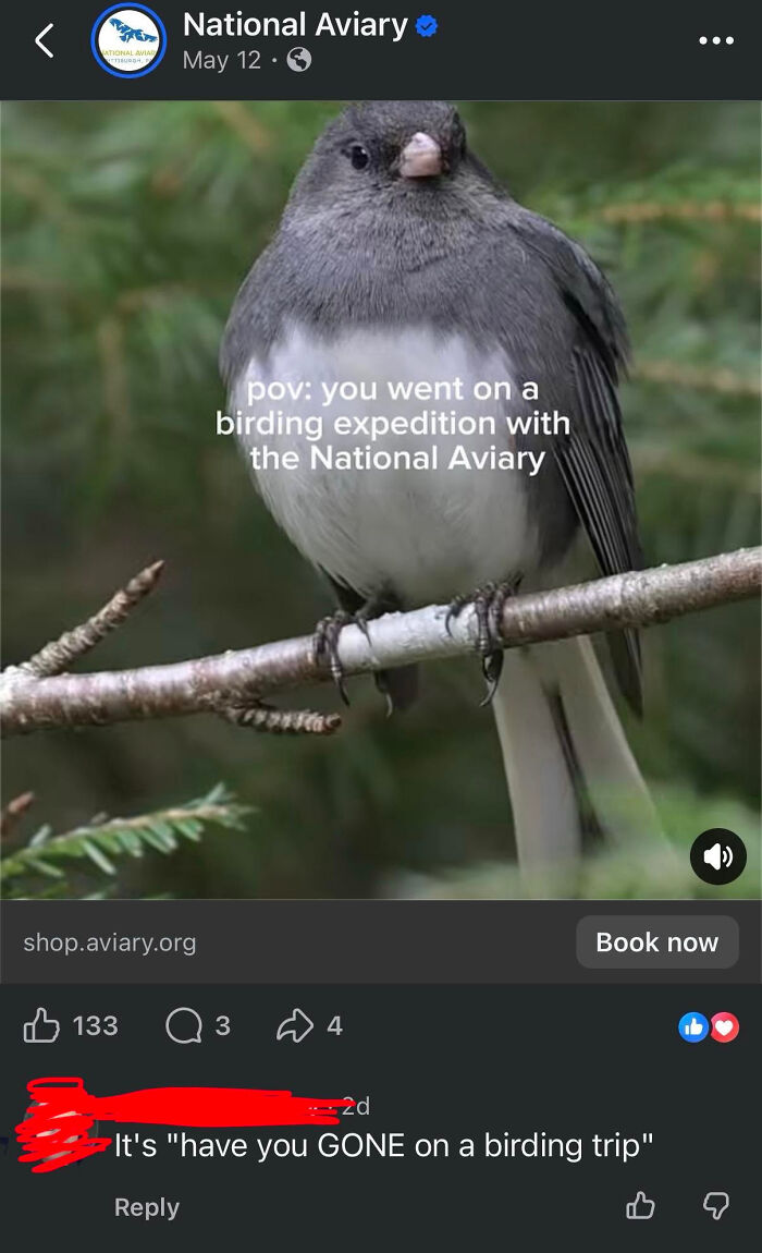 A social media screenshot of a know-it-all correcting the phrase 'gone on a birding trip'.