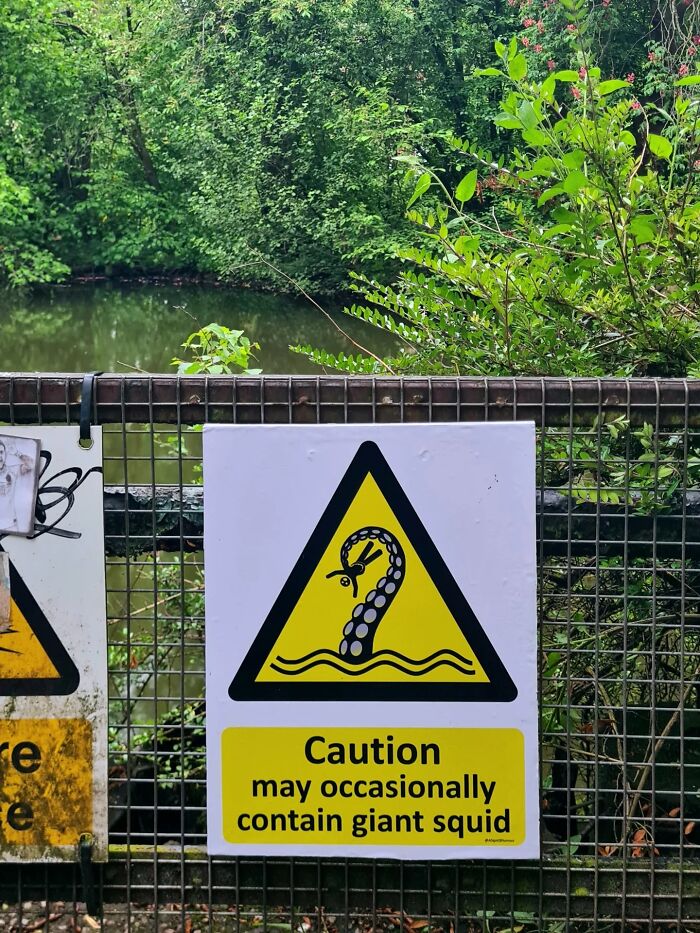 Absurd sign warning of giant squid in a lake, with green trees and water in the background.