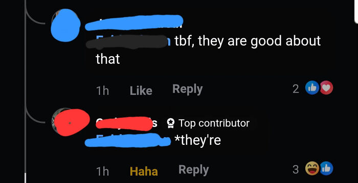 A social media screenshot featuring a know-it-all correcting someone's use of they're vs. their.