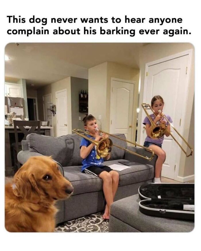 This Facebook Page Shares The Funniest And Cutest Animal Memes On The Internet, And Here Are 50 Of The Best Ones