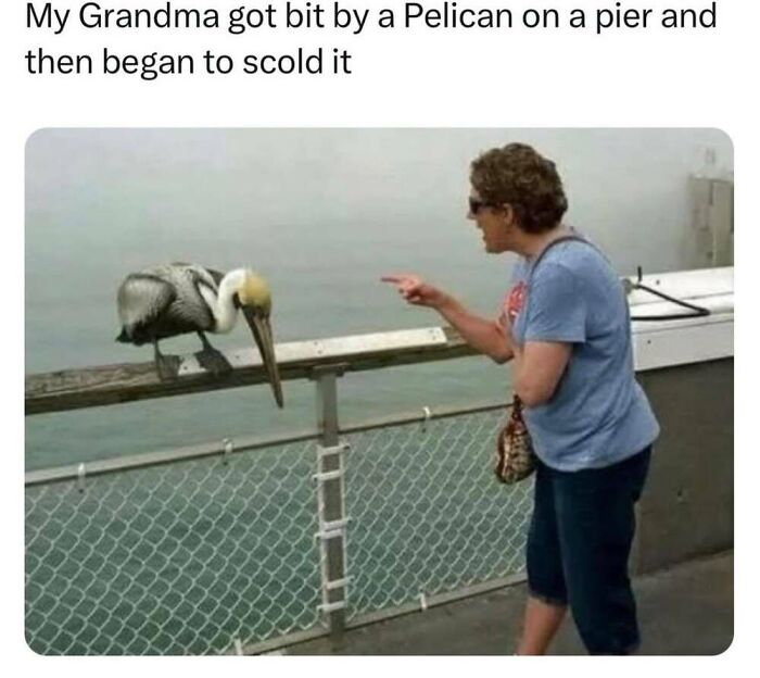 This Facebook Page Shares The Funniest And Cutest Animal Memes On The Internet, And Here Are 50 Of The Best Ones