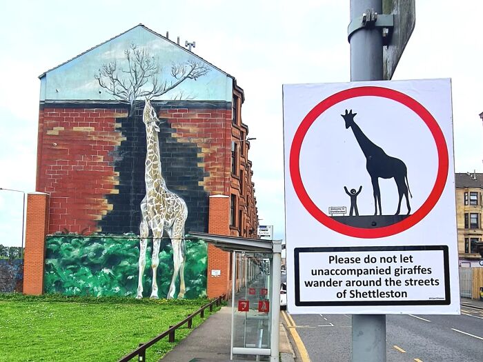 Absurd sign cautioning against unaccompanied giraffes wandering in Shettleston, with a giraffe mural in the background.