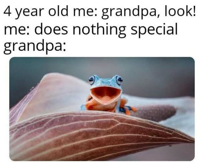 This Facebook Page Shares The Funniest And Cutest Animal Memes On The Internet, And Here Are 50 Of The Best Ones
