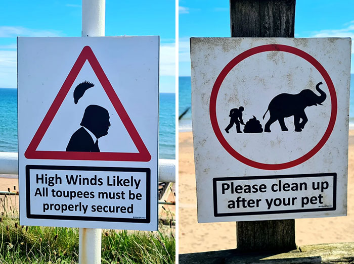 A split image shows two absurd signs: one warning about toupees in high winds, and another about cleaning up after elephant pets.