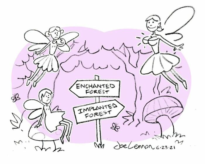 Fairies in a forest with a sign pointing to Enchanted Forest and Implanted Forest from awkward comics by Joe Lennon.