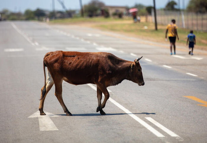 34 Country-Specific Habits That Are Completely Normal To Locals But Confusing To Everyone Else