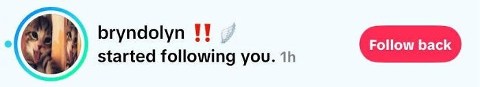 A notification shows a user named Bryndolyn started following, illustrating parents' preference for unique names.