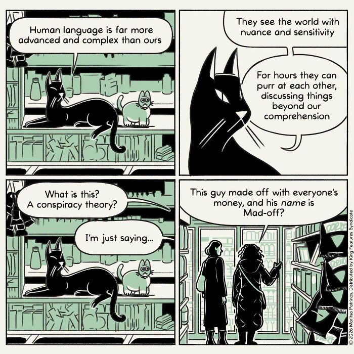 A comic imagines cats with jobs, coworkers, and responsibilities, discussing human language and conspiracy theories.