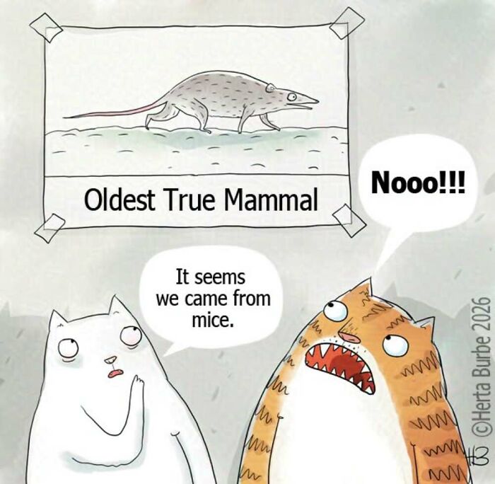 A comic illustration by Herta Burbė where two cats react to a poster about the oldest true mammal, resembling a mouse.