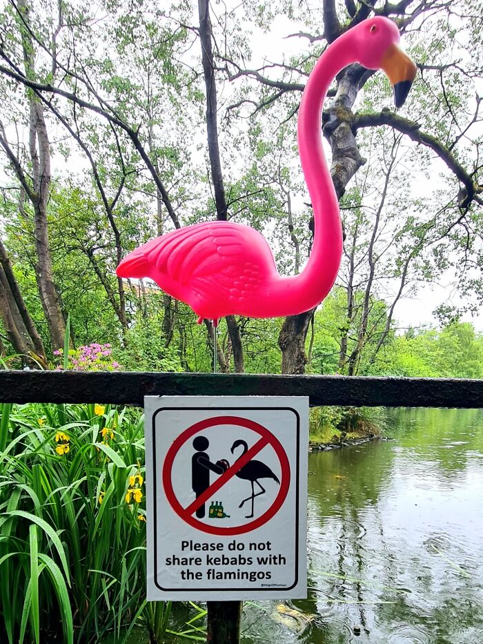 Absurd signs: A sign near a pond with a pink flamingo, asking not to share kebabs with flamingos.