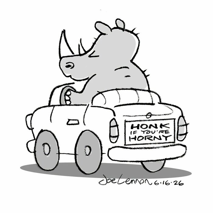 A Joe Lennon comic depicting a rhinoceros driving a car with a 'Honk if you're H***y' bumper sticker. Hilariously awkward comics.