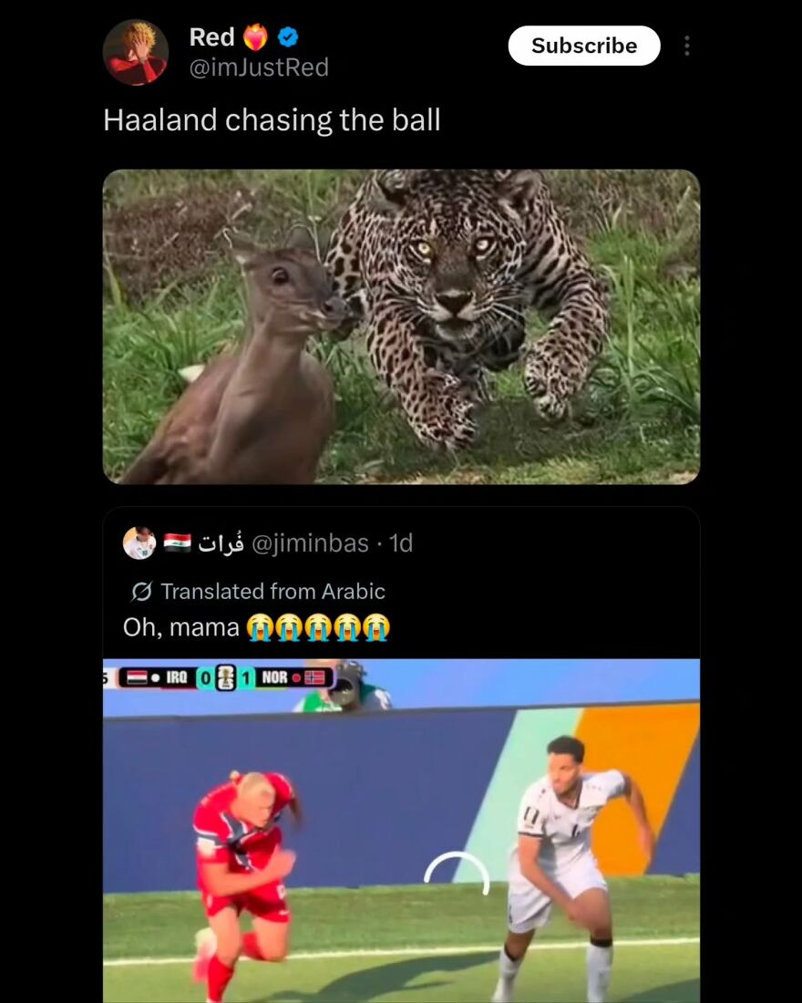 A World Cup meme featuring a jaguar chasing a deer, contrasted with a football player chasing the ball, highlighting Haaland's speed.