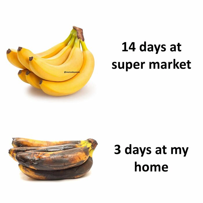 Hilarious Posts: A meme by Xavier comparing fresh bananas from a supermarket to rotten ones at home, humorously depicting their short lifespan.