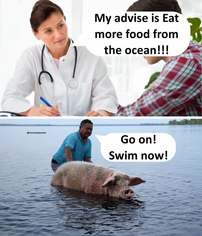 A funny Xavier meme illustrating a doctor advising more seafood, followed by a man pushing a pig into water to swim.