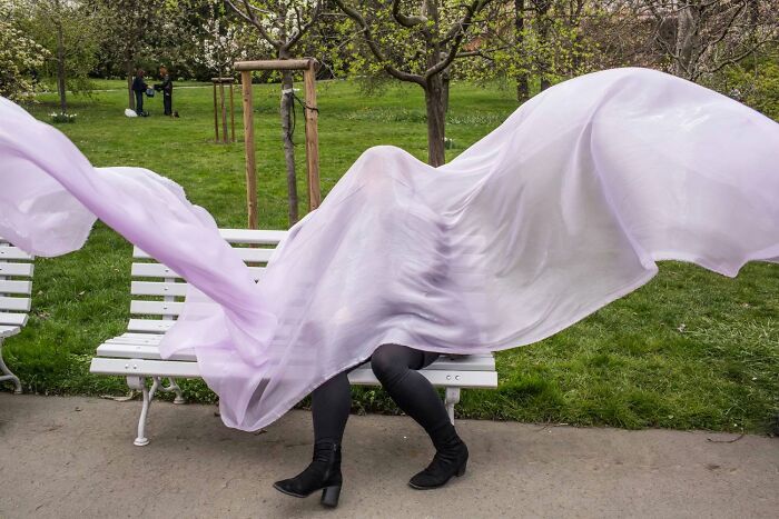 A street photographer captures a serendipitous moment of a person covered by a flowing purple fabric on a park bench in everyday life.