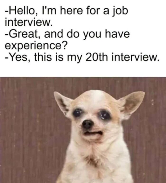 This Facebook Page Shares The Funniest And Cutest Animal Memes On The Internet, And Here Are 50 Of The Best Ones