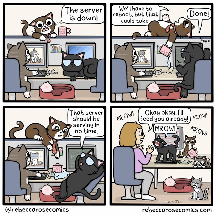 Rebecca Rose comic depicting cats fixing a server, turning awkward moments into laugh-out-loud situations.