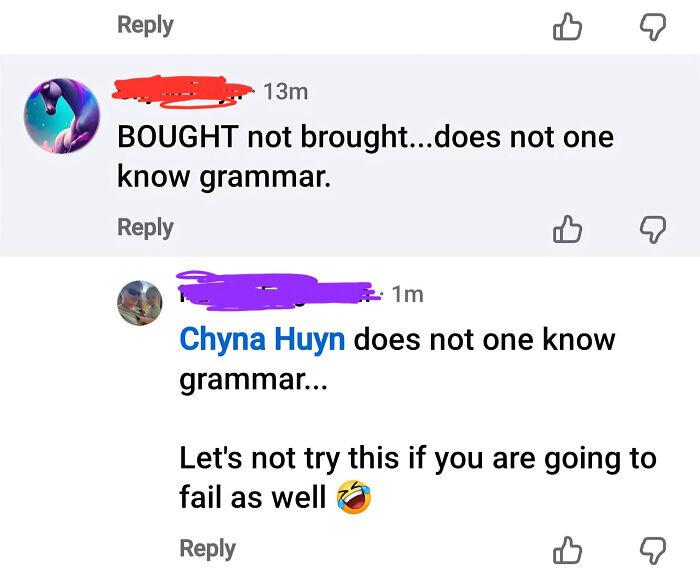 A social media comment where a know-it-all tries to correct someone's grammar but fails as well.