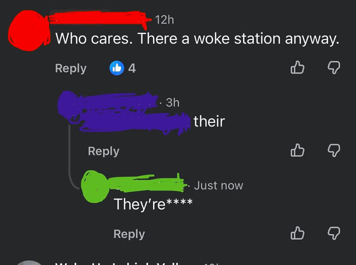 Social media users engage in a know-it-all grammar correction debate over the use of there and their.
