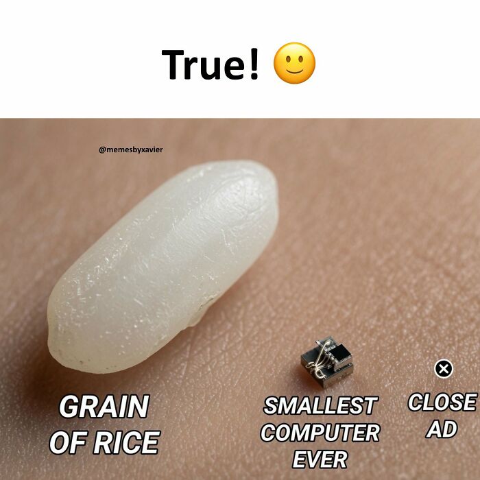 Hilarious Posts from Xavier: A grain of rice next to a tiny computer chip, labeled 'smallest computer ever'.