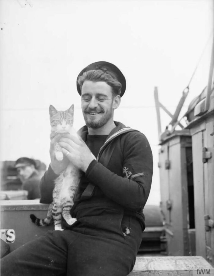 30 More Vintage Cat Photos That Prove Our Love For Cats Hasn't Changed In Over A Century