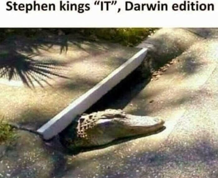 This Facebook Page Shares The Funniest And Cutest Animal Memes On The Internet, And Here Are 50 Of The Best Ones