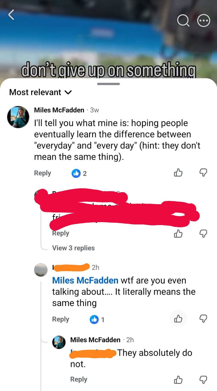 A social media comment by a know-it-all correcting someone about the difference between everyday and every day.