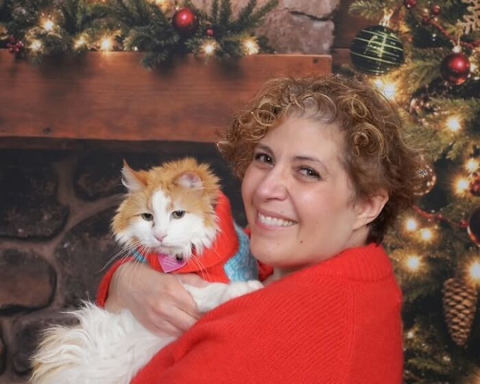 My Cat's Name Is Curry Too! Here's Our Christmas Card 🙂