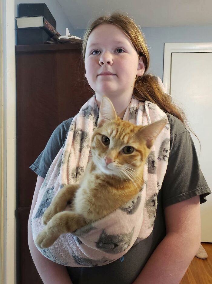 My Gingers
