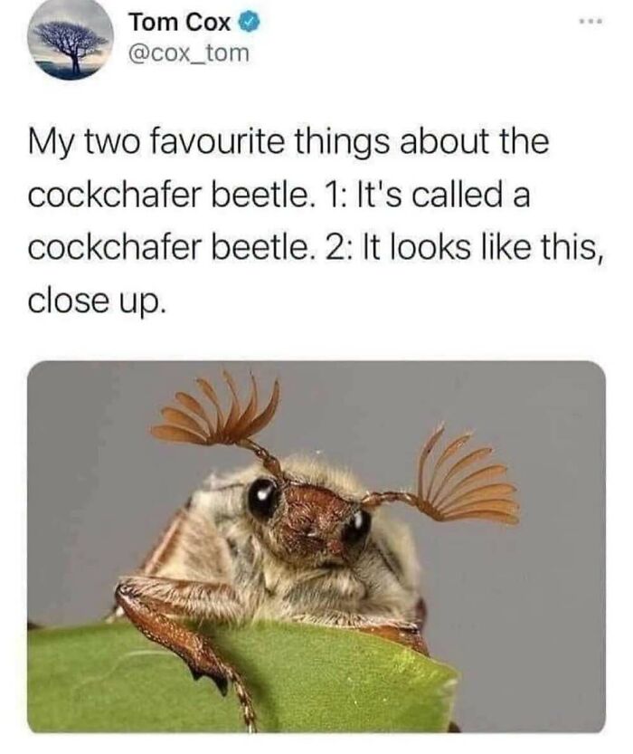This Facebook Page Shares The Funniest And Cutest Animal Memes On The Internet, And Here Are 50 Of The Best Ones