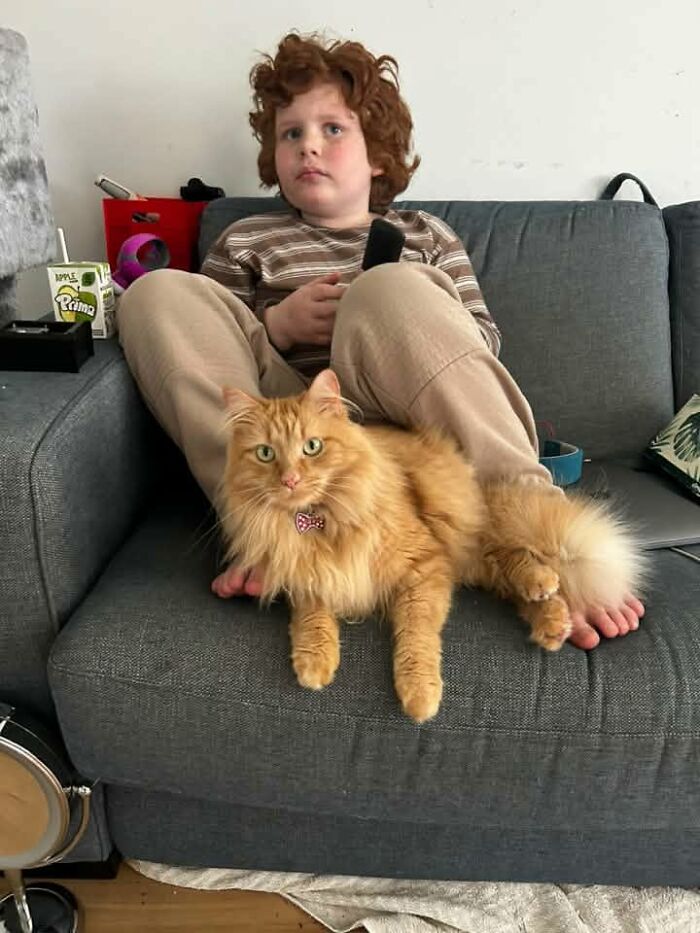 My Beautiful Boys