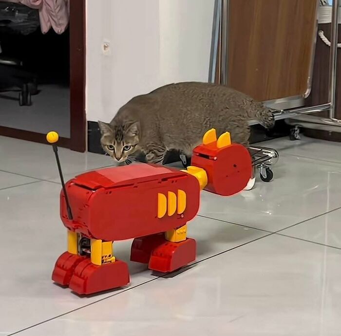 Hilarious cat moments: A brown cat curiously approaches a red toy dinosaur on a tiled floor.