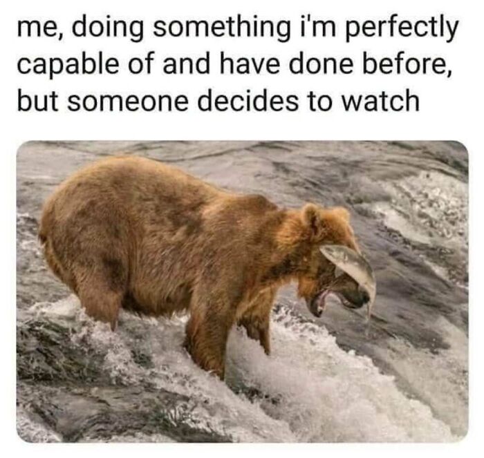 This Facebook Page Shares The Funniest And Cutest Animal Memes On The Internet, And Here Are 50 Of The Best Ones