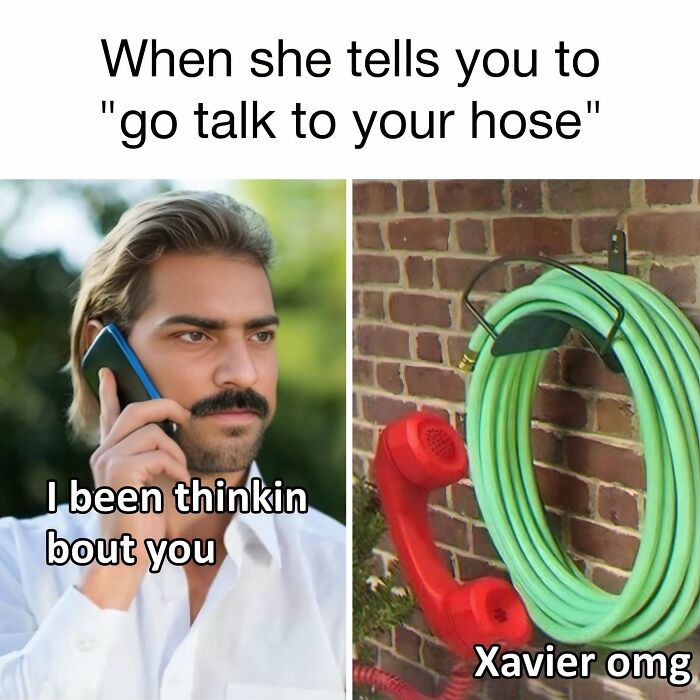 A Xavier meme showing a man thinking of his hose, creating hilarious posts that had the internet in stitches.