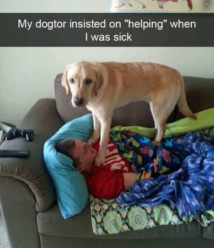 This Facebook Page Shares The Funniest And Cutest Animal Memes On The Internet, And Here Are 50 Of The Best Ones