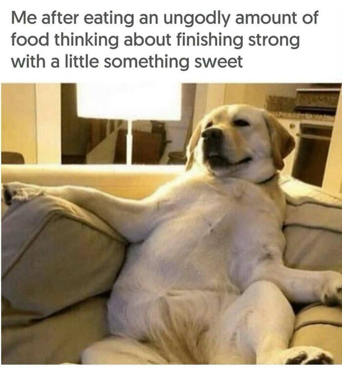This Facebook Page Shares The Funniest And Cutest Animal Memes On The Internet, And Here Are 50 Of The Best Ones